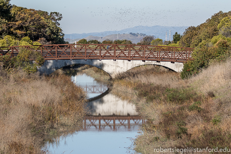 shoreline park